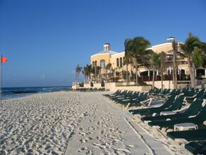 Click to See Next Image